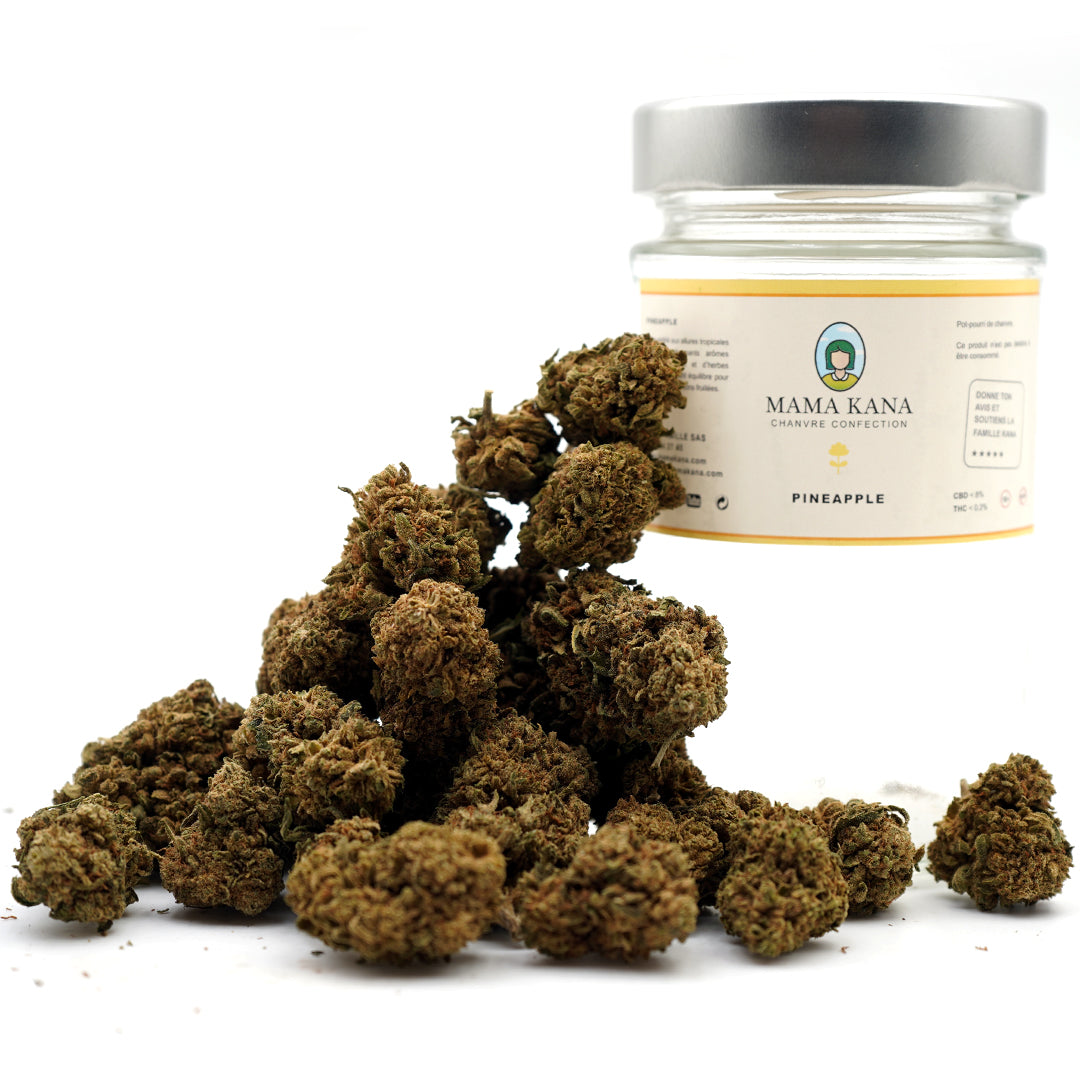 Fleurs de Chanvre CBD – Pineapple Express cultivée en Indoor (Intérieur) en quantité à coté son packaging sur un fond blac