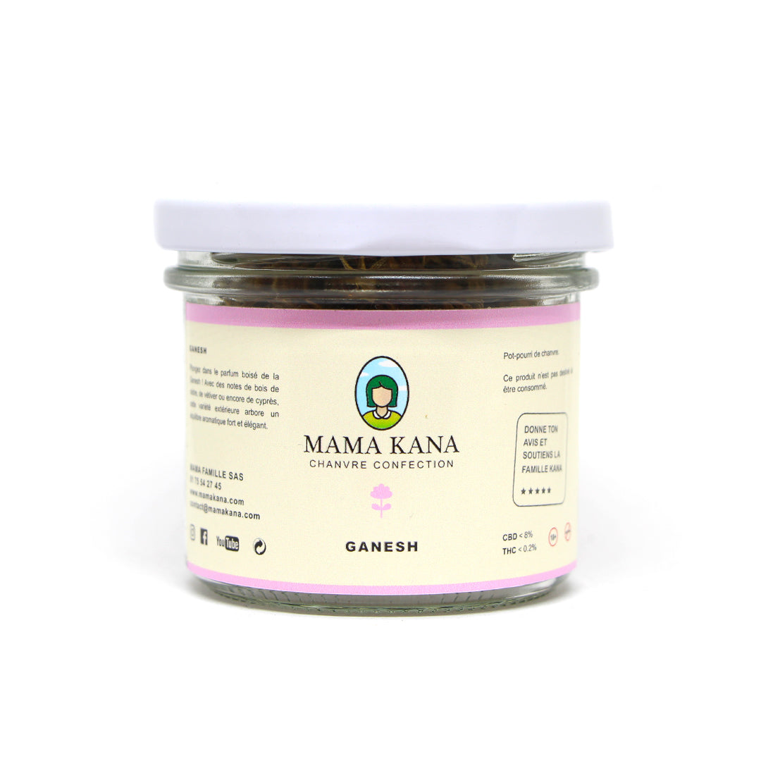 Flores de cânhamo CBD - Ganesh cultivado ao ar livre.  Mergulhe na fragrância amadeirada da Ganesh! Com notas de madeira de cedro, vetiver e cipreste, esta variedade de exterior tem um equilíbrio aromático forte e elegante. Tal como o seu cultivo natural, o aroma da Ganesh evoca o espírito dos passeios no campo no meio da natureza.