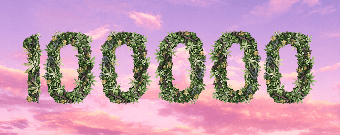 100 000 gramu bez maksas ar pasūtījumiem