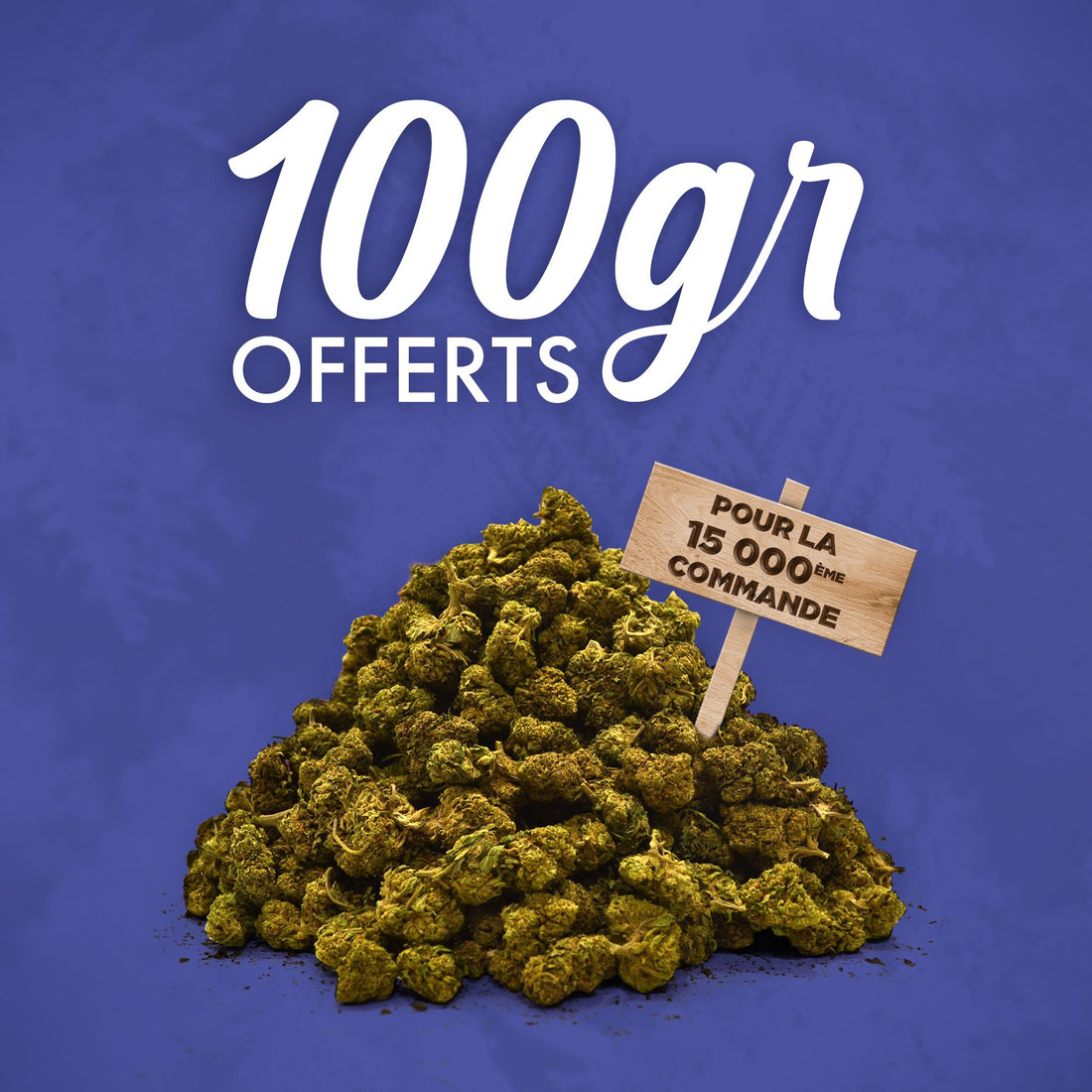 🌿 100 GRAM CBD BLOMMOR GRATIS 🌿
