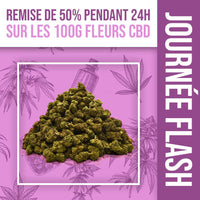 ¡Día Flash - 50% de descuento en nuestras flores de 100g CBD ! 🌿