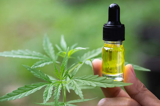 The fantastic rise of CBD oils