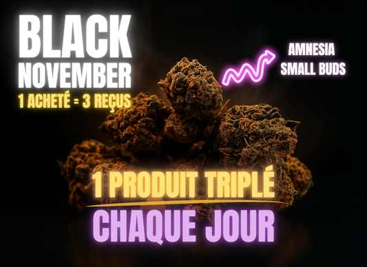 Black November - Jour 14 : Amnesia Small Buds TRIPLÉE !