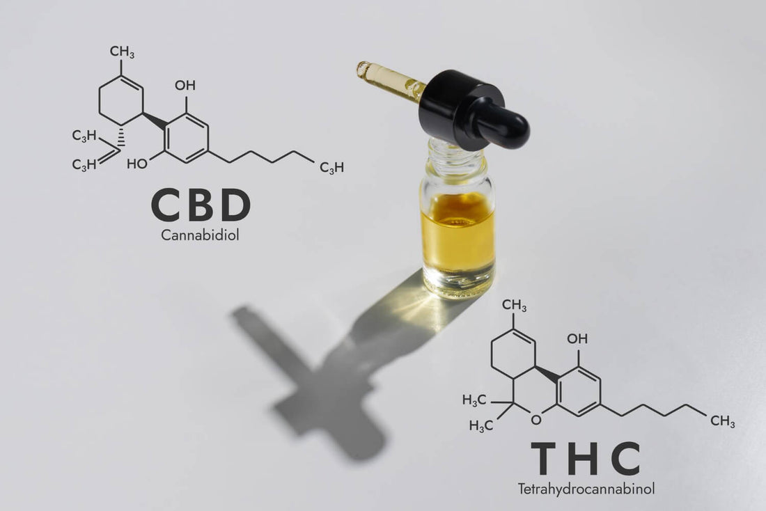 THC και CBD: Ποιες είναι οι διαφορές μεταξύ αυτών των μορίων;