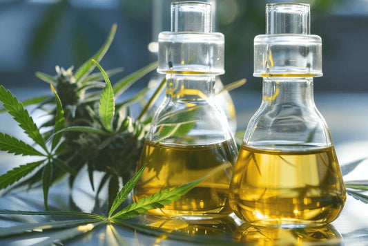 The main differences between CBD and H4CBD