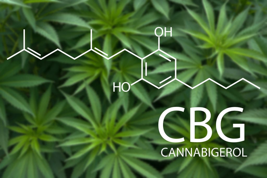 What is CBG and how is it different from CBD?