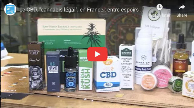 Vidéo France 24 :Le CBD, "cannabis légal", en France