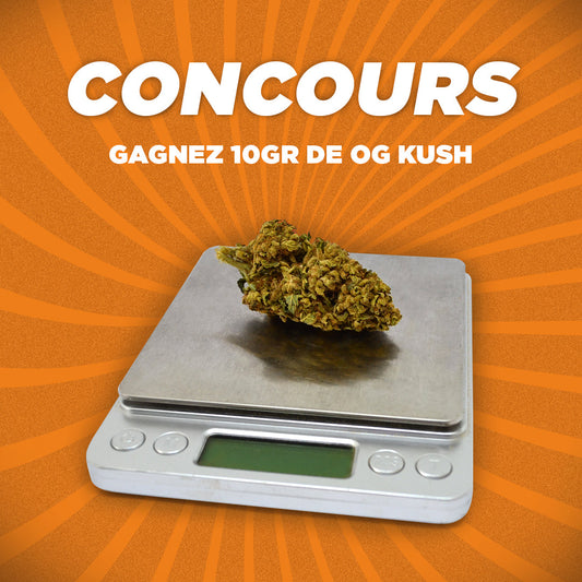 👮 KONKURRENS 👮