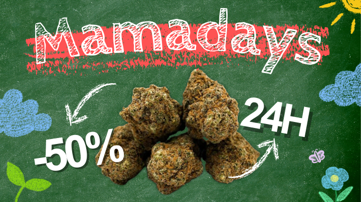 📣 MamaDays jsou tady! Připravte se na týden výjimečných speciálních nabídek! 🎉