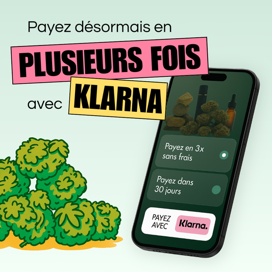 🧾 Klarna : Payez comme vous voulez — Liberté, Flexibilité et Sécurité