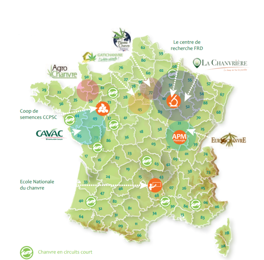 Cultivo de cáñamo en España