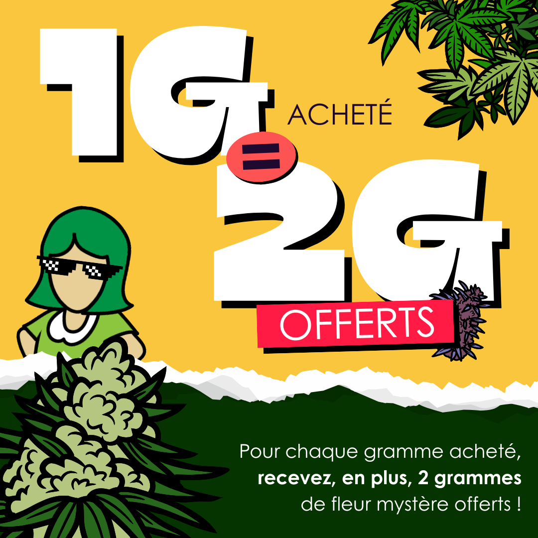 🌿 1G DE CBD ACHETÉ = 2G OFFERTS EN FLEURS MYSTÈRES ! 🎁✨