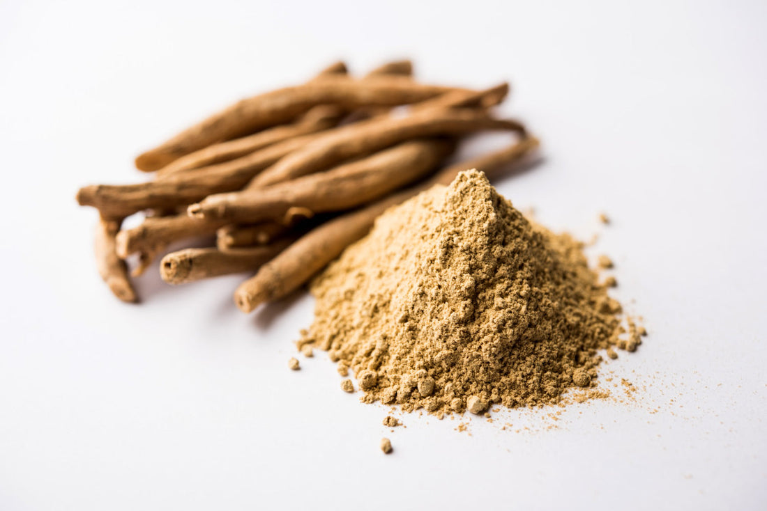 Produits au CBD et Ashwagandha : pourquoi c'est compatible ?