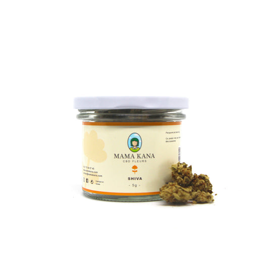 Video: Shiva i alla dess färger