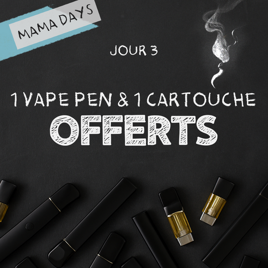 🚀 MamaDays Day 3: Special Vape with Amnesia & Jack Herer