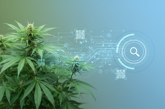 tracciabilità digitale CBD