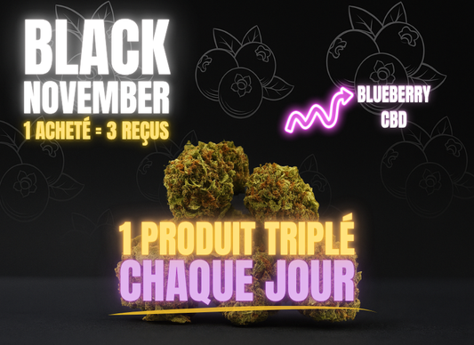 Black November - Jour 12 : Blueberry CBD triplée !