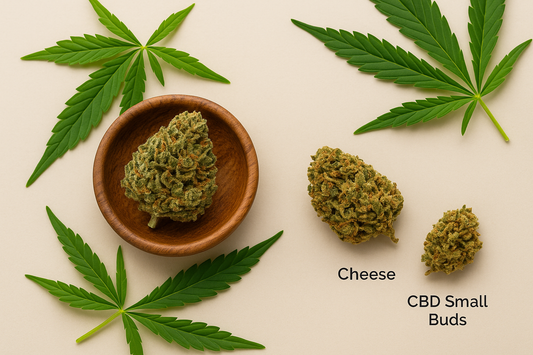 Uudet ranskalaiset CBD-lajikkeet: Gelato & Cheese Small Buds 🌿