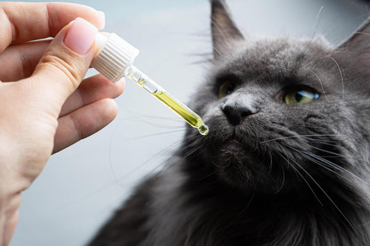 CBD-Tiere