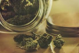 Comment conserver vos fleurs de chanvre CBD ?