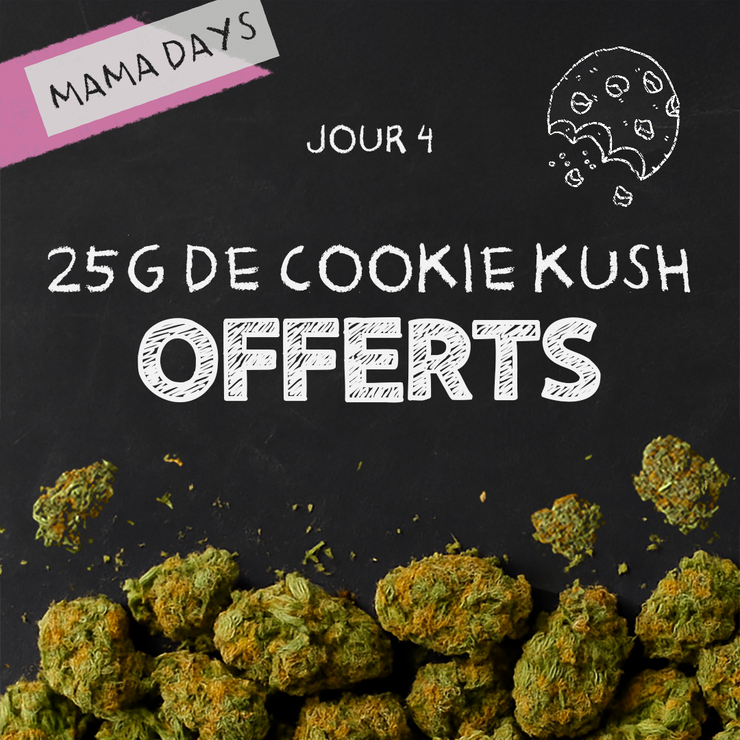 4 dzień MamaDays: darmowy Cookie Kush!