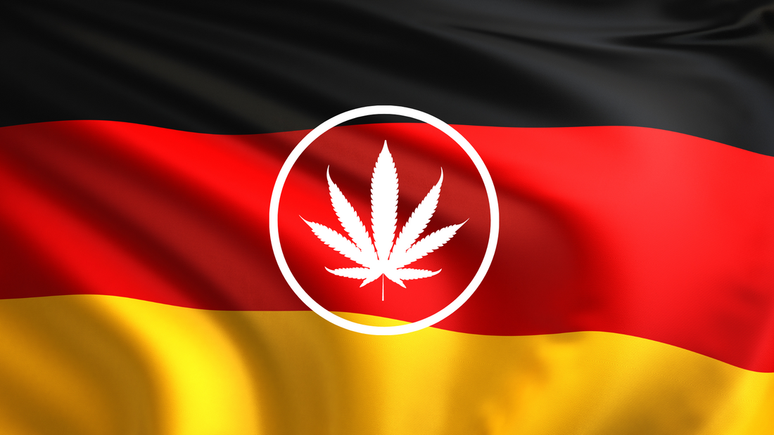 Légalisation du Cannabis en Allemagne : Une Nouvelle Étape
