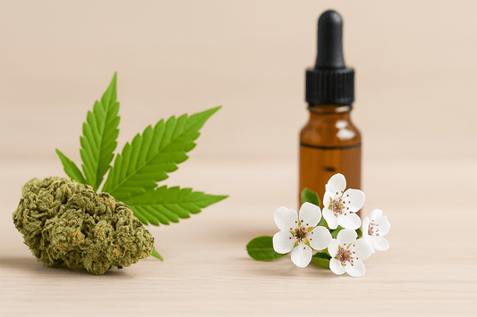 Bach VS CBD