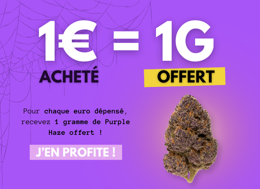 Halloweed: 1 iztērēts € = 1 grams bez maksas 💜