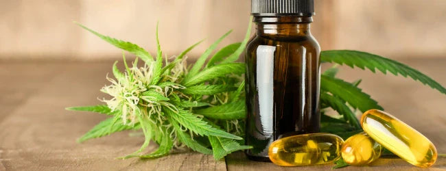 Huile de CBD