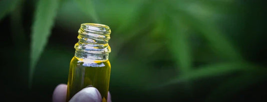 Olio di CBD