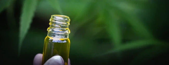 Huile de CBD