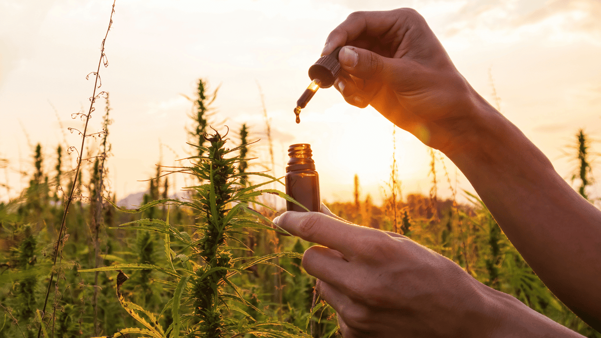 CBD Rhodiola 