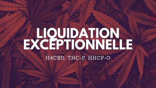 LIQUIDATION EXCEPTIONNELLE : - 50% H4CBD, THC-P, HHCP-O