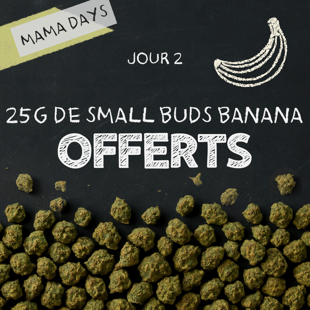 🍌 2. dan MamaDays: brezplačni bananini kremni Small Buds !