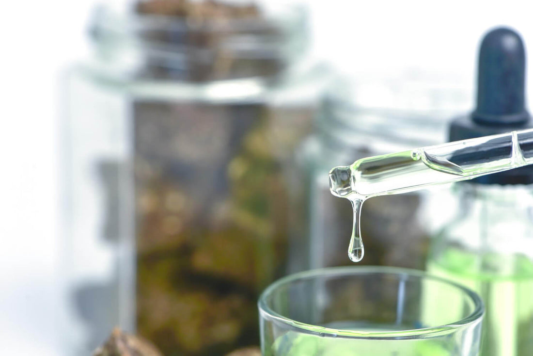 What is cold-pressed CBD oil and why choose it?