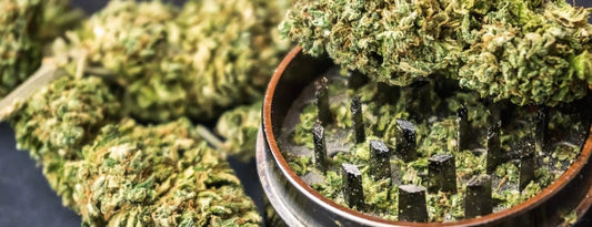 CBD kukat