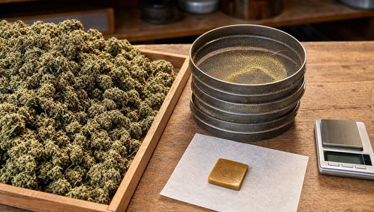 Ein Haufen CBD-Blüten, ein Dry-Sift-Sieb und ein kleines Stück gepresstes Harz neben einer Waage