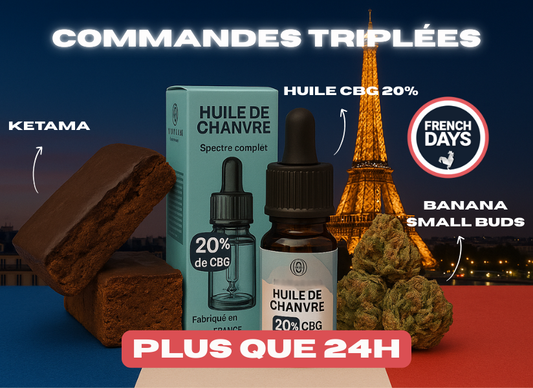 Plus que 24h : vos commandes TRIPLÉES disparaissent ! 🤯