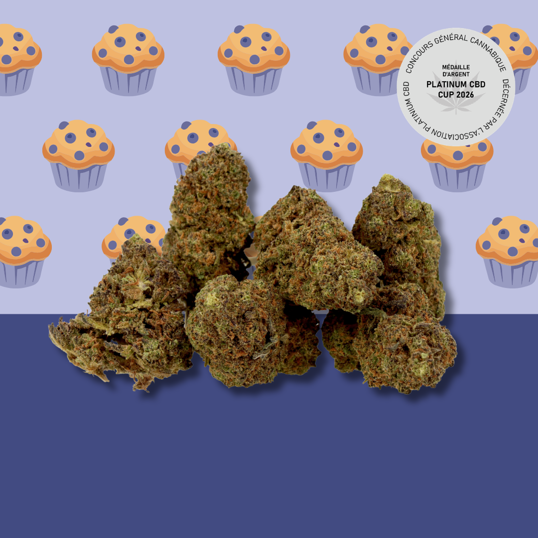 Blueberry muffin 🫐 [Greenhouse]