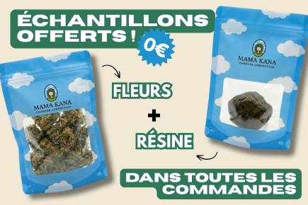 Mama Kana | Le Shop pour Acheter du CBD en ligne en France Mama Kana | Le Shop pour Acheter du CBD en ligne en France