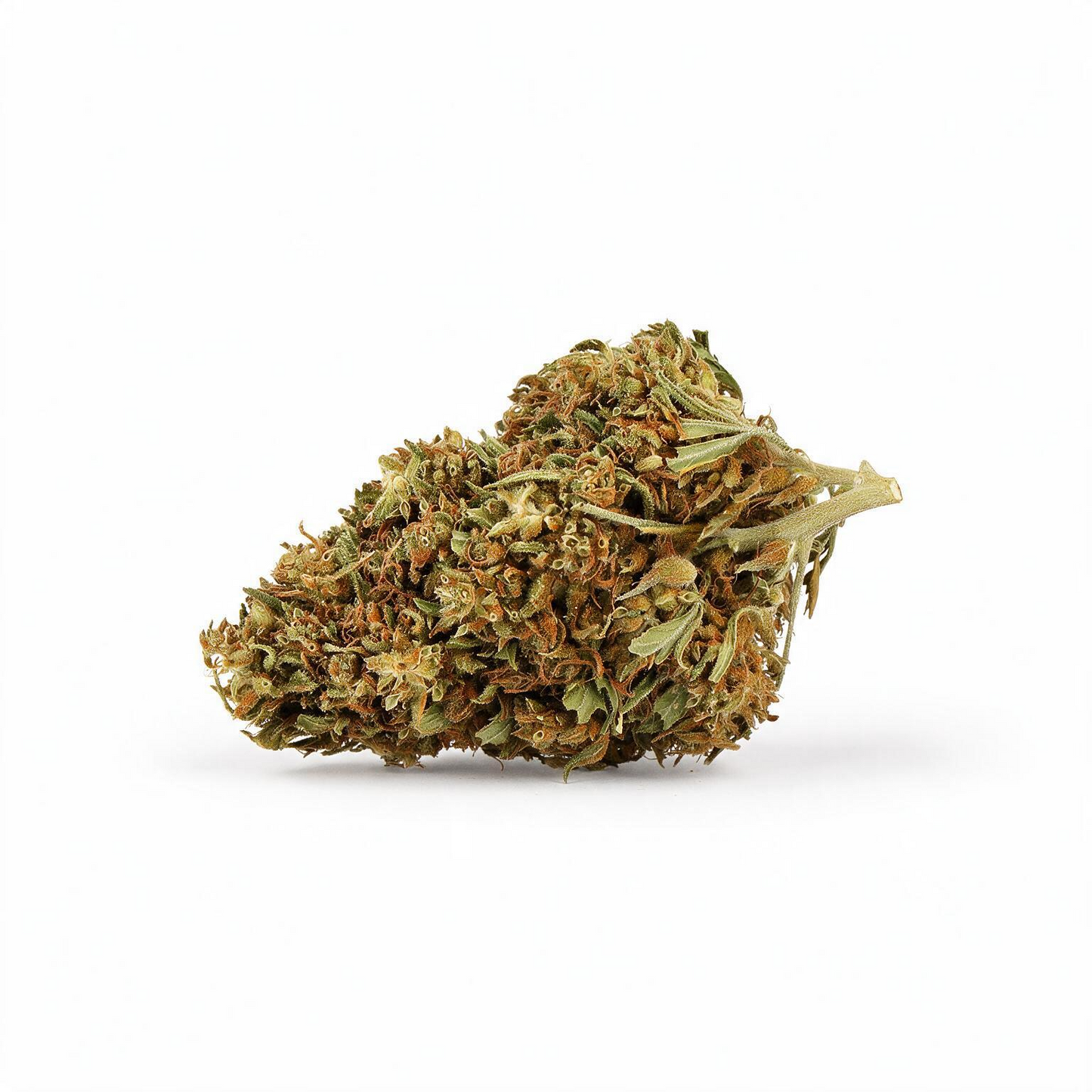 Watermelon CBD 🍉 [Outdoor]
