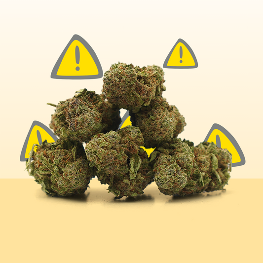 🎁 Critical CDB ⚠️ [Indoor] (100% de desconto)