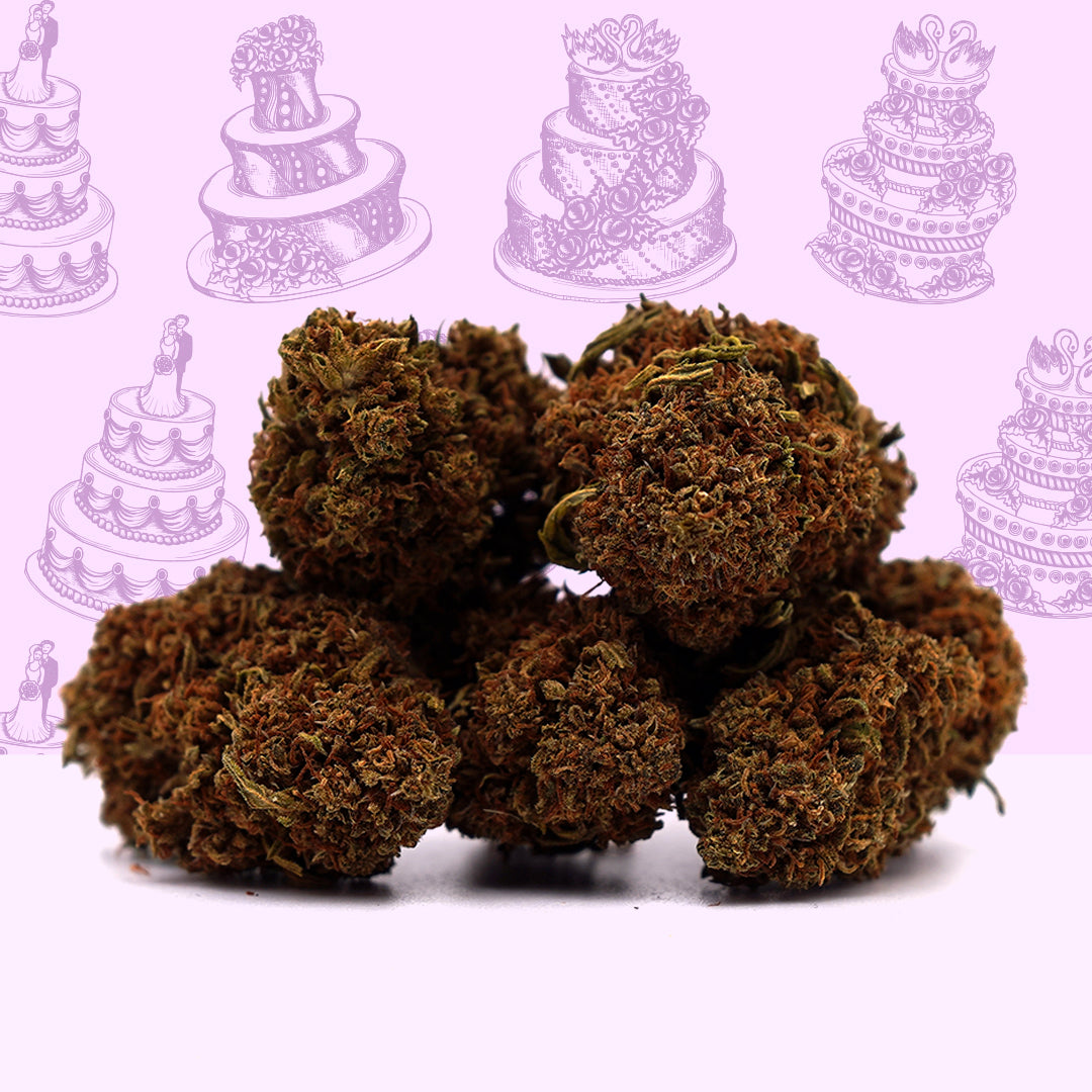 Cheesecake  [Outdoor] 🎁 🍰 (100% de desconto)