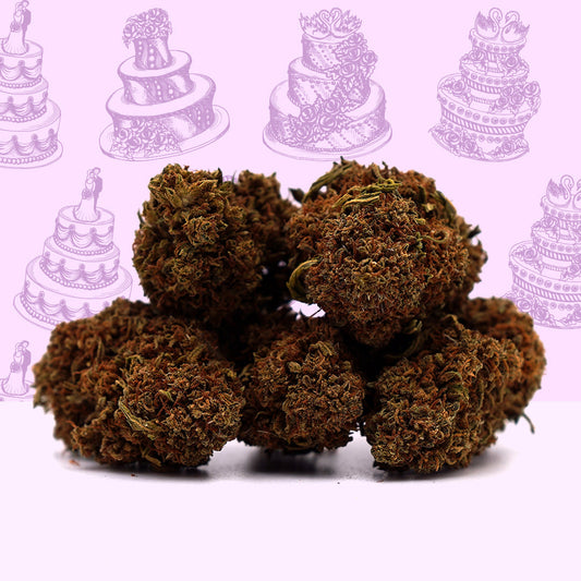 Cheesecake  [Outdoor] 🎁 🍰 (100% de desconto)