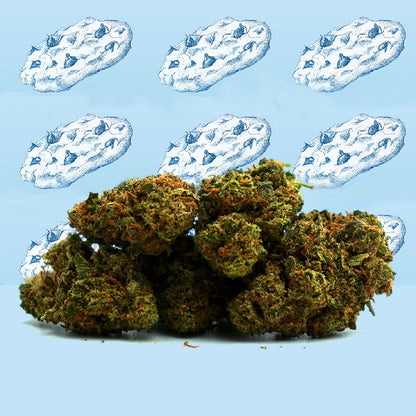 Cookie Kush CBD Small Buds - Fleurs naturelles de qualit Cookie Kush CBD Small Buds - Fleurs naturelles de qualit