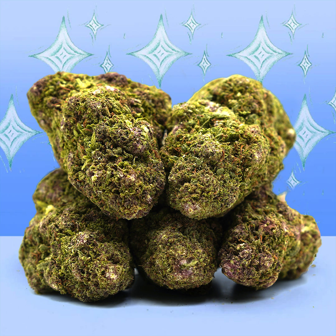 Northern Lights CBD ✨ [sous-serre]