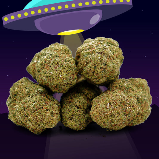 CBD Alien Kush 🧟‍♂️ [Hidroponia] (100% de desconto)