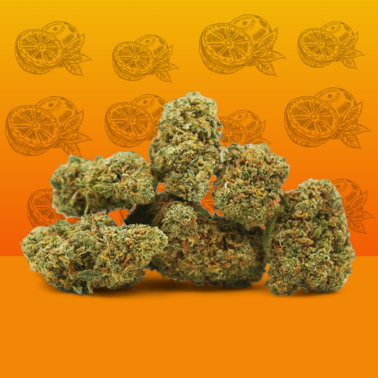 Orange Bud  [Greenhouse] 🎁 🍊 (100% pois)