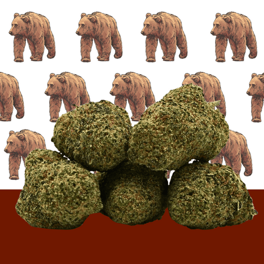 CBD L.A Cali 🐻 [Hidroponia] (100% de desconto)