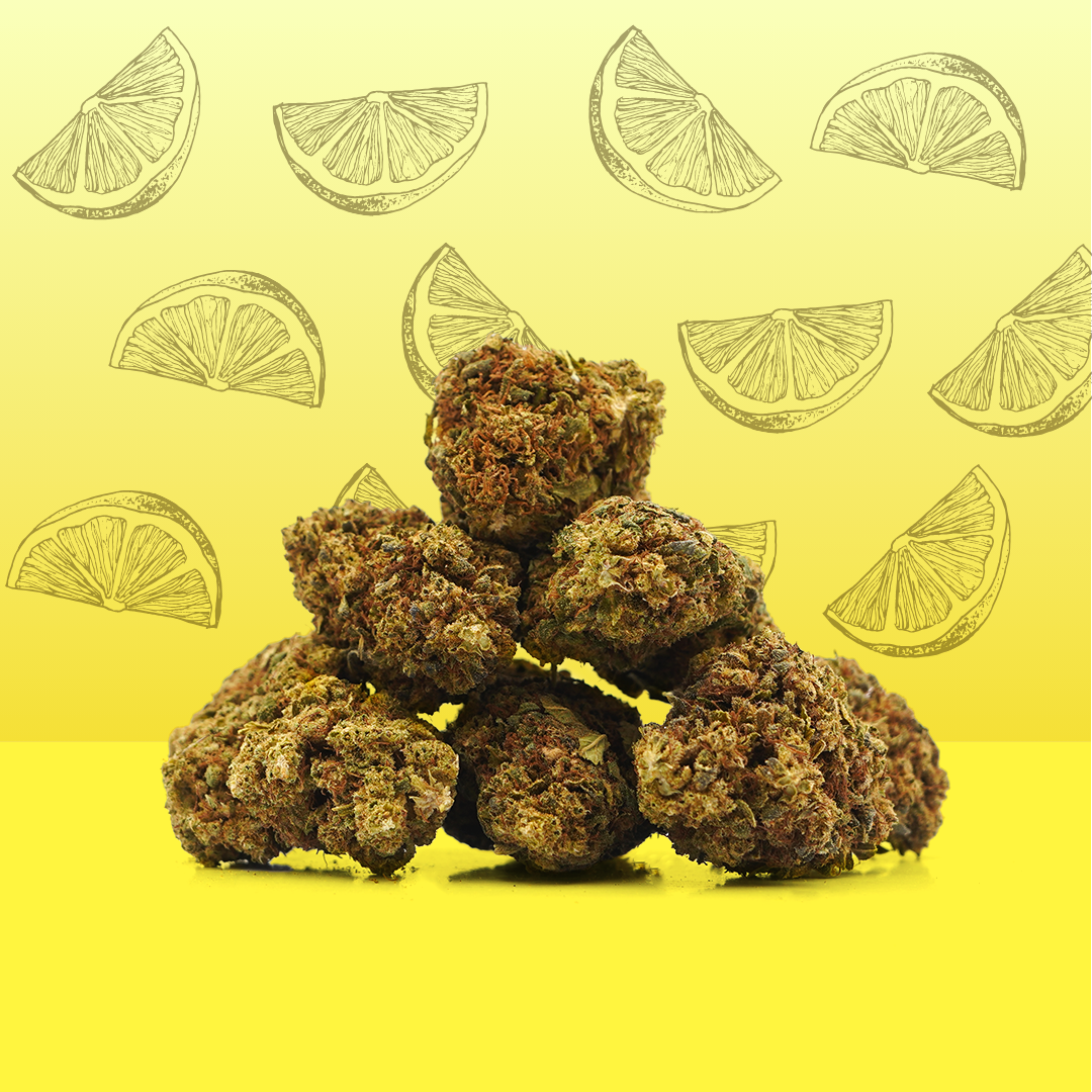 Lemon CBD [intérieur]